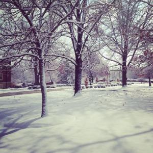 kooniki (25 ayaapeensa kiilhswa 2014)