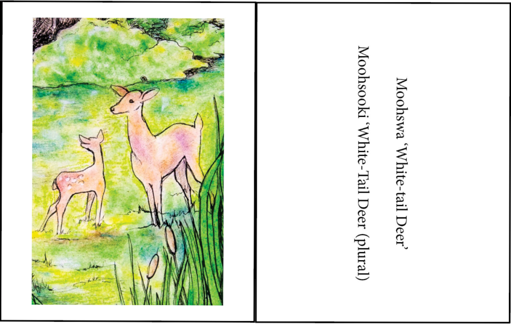 This is an example of the front and back for one summer poster information card.