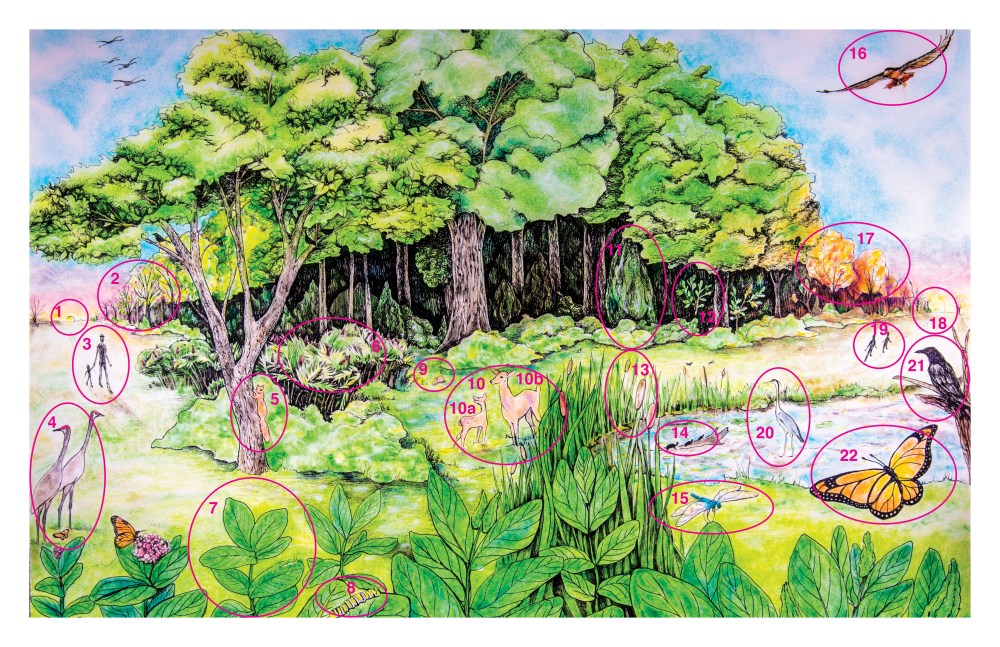 Summer scene with key features numbered to match the Summer Poster terms table.