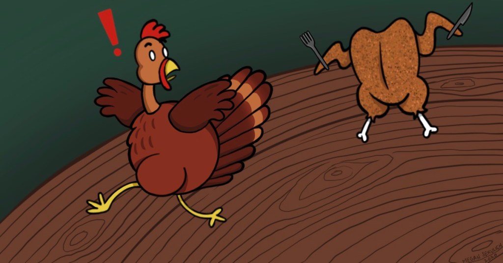 Cooked turkey chasing a live turkey across a table