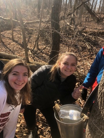 Gretchen Spenn (left) and Grace Cooper (right) set up a tap and bucket on Miami University's Oxford Campus