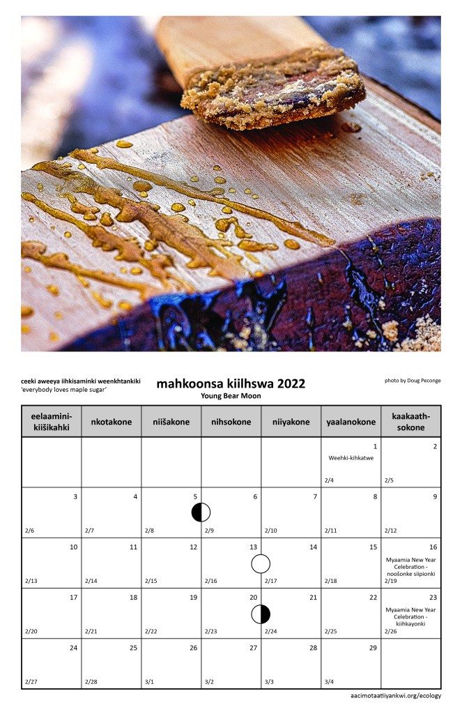 Mahkoonsa Kiilhswa ‘Young Bear Moon’ 2022 calendar page