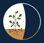 napale neepiki kiilhswa dark