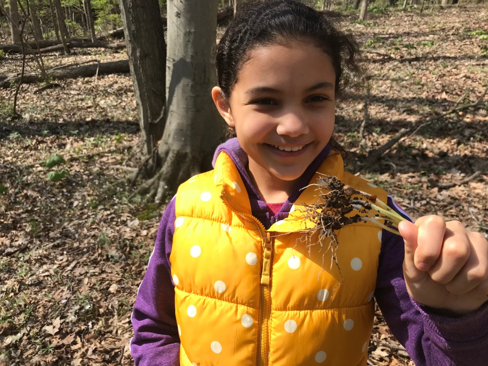 Child holding wild onions covered in dirt from harvesting