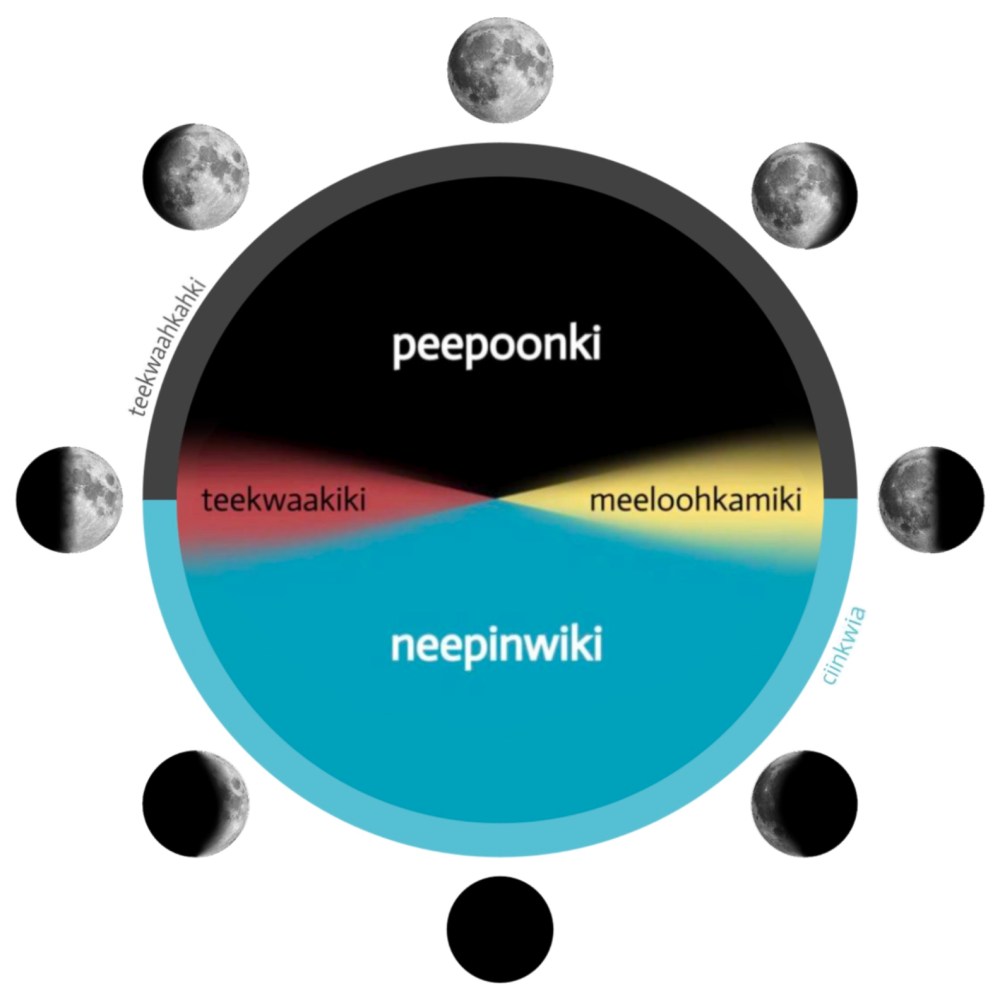 Myaamia seasons wheel