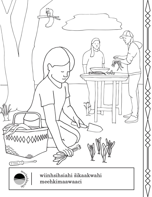 Coloring page featuring a young person digging up wild onions and ramps