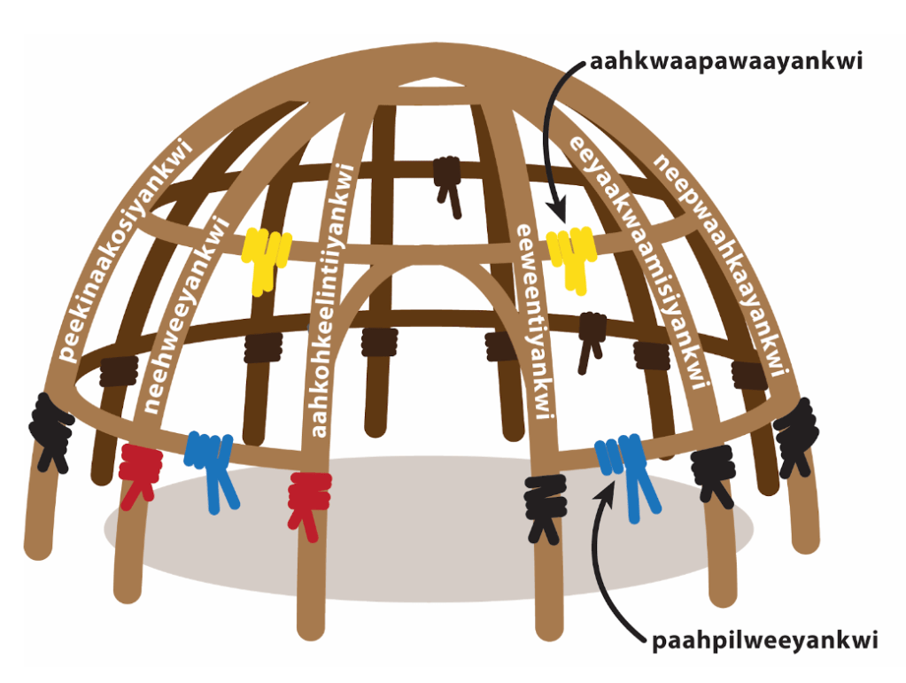 A depiction of a wiikiaamia mantepwayi or lodge frame. The saplings are bent into a dome-like structure and have ties on each pole that are black, red, yellow, and blue. The words for each of the eight myaamia values are written on the poles.