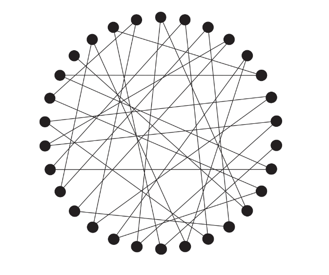 Thirty black dots in a circle, all interconnected with black lines and forming the appearance of a web.