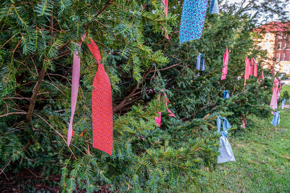 Blue and Red calico fabric ribbons tied to a bush