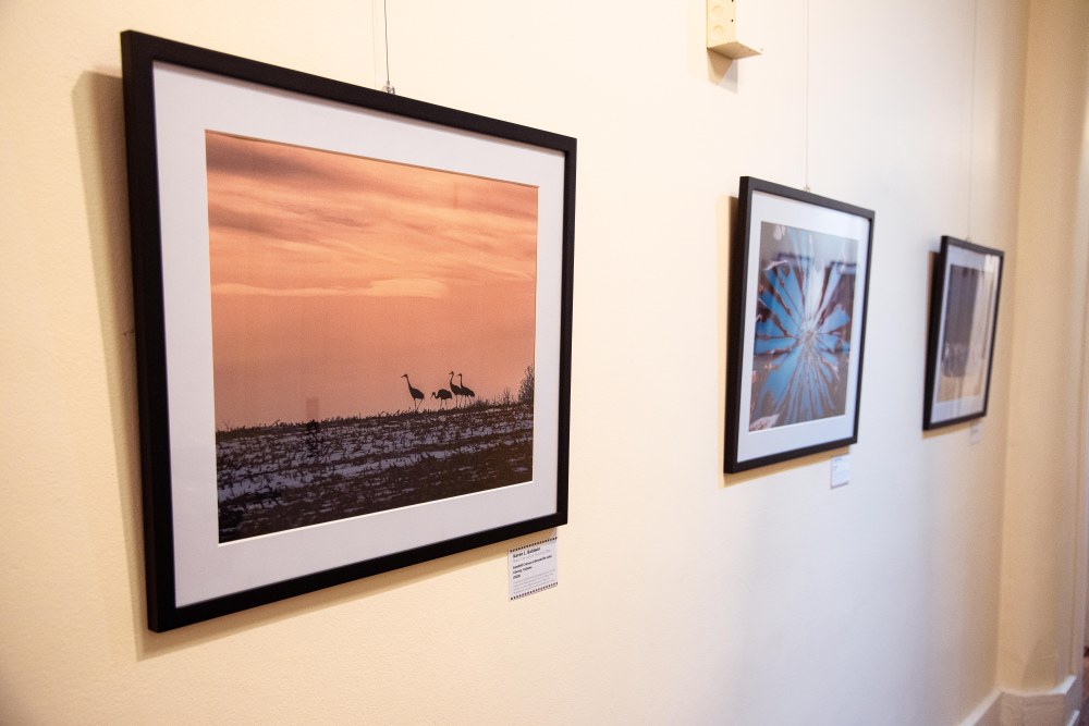 Image of framed photographs