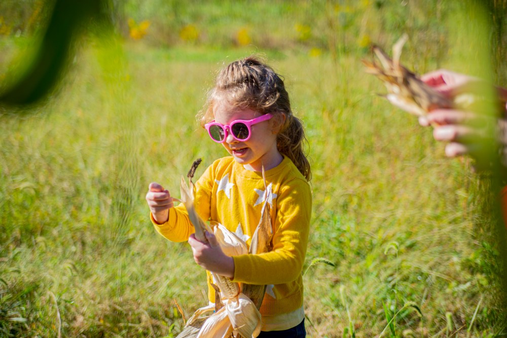 Young girl pulling husk off of Myaamia corn