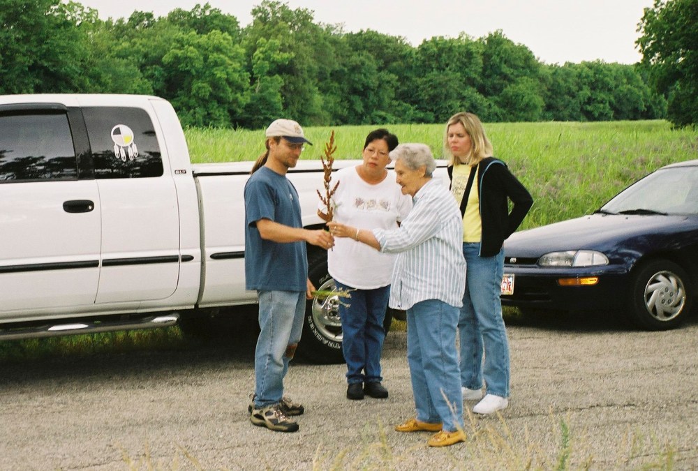 Man showing a plant to three women
