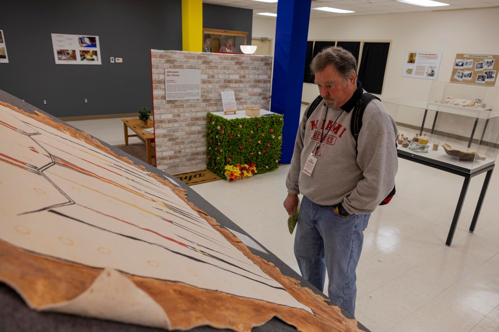 Man looking at a displayed painted hide
