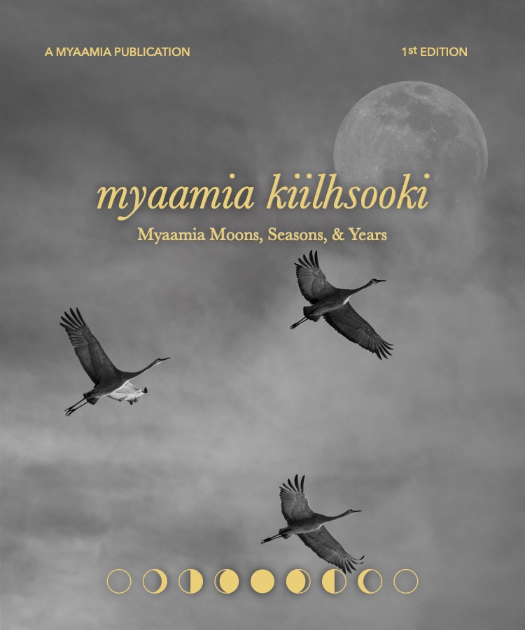 Book cover featuring cranes flying past a Moon