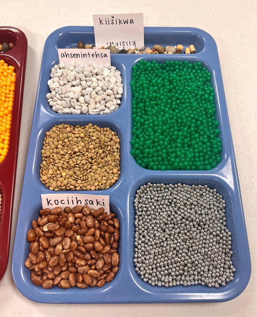 A tray full of rattle filling options