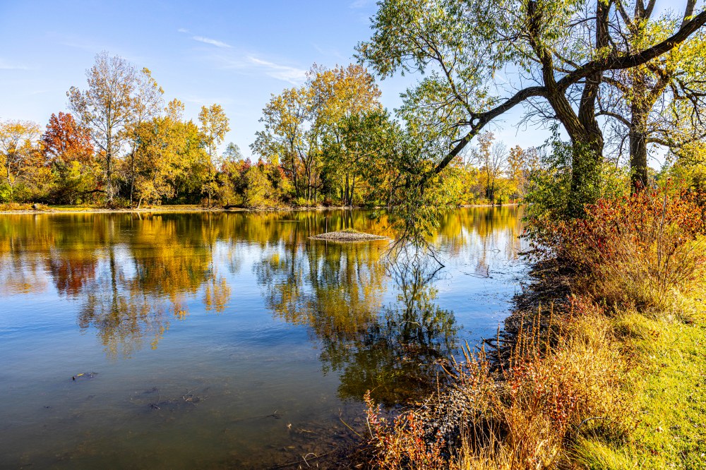 A view of a large pond surrounded by trees with leaves changing to reds and yellows.