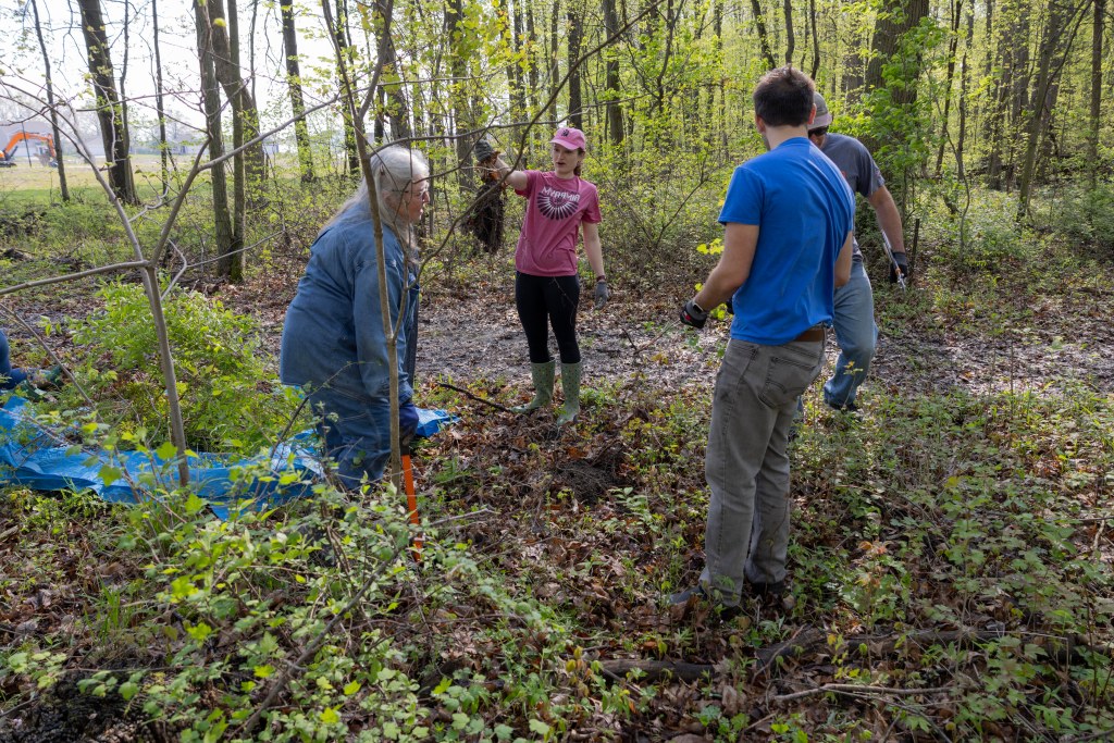 A group of 2 men and 2 women examine the undergrowth in a wooden area