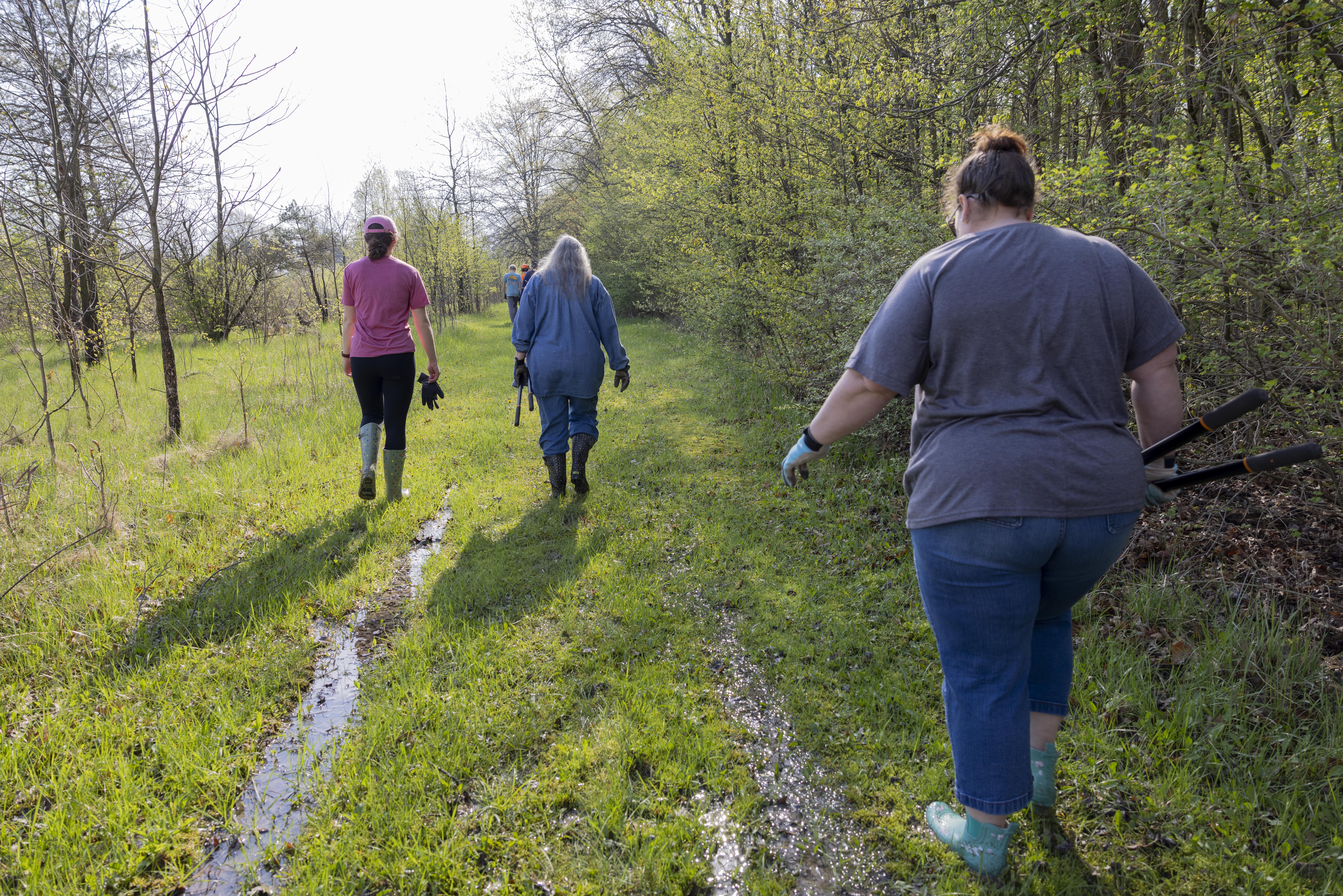 A group of people walk down a trail towards the woods