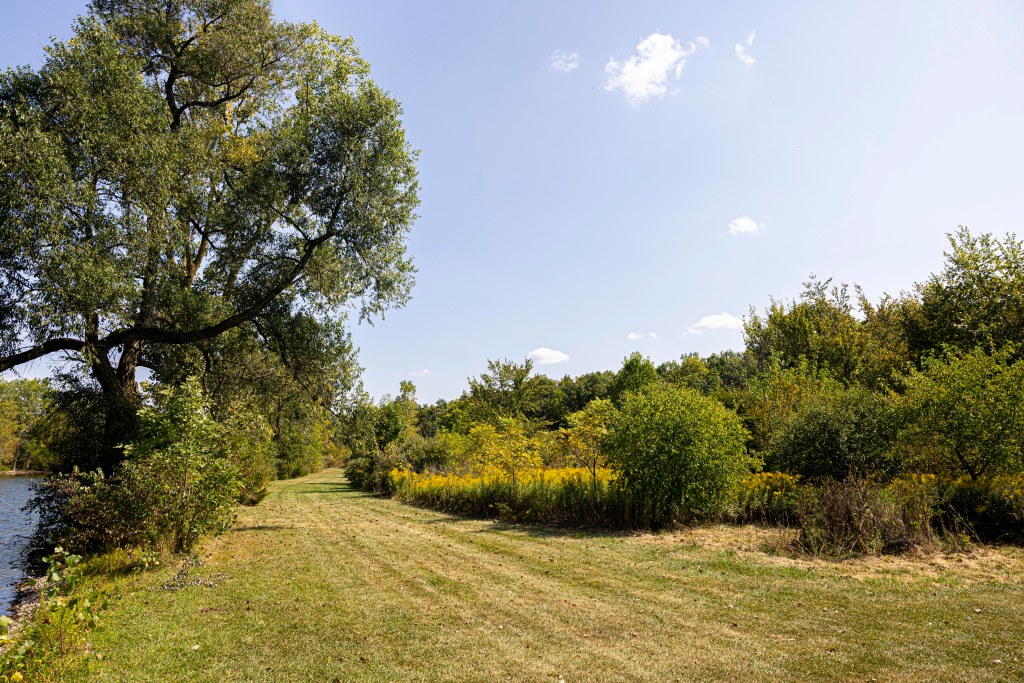 A large mowed path of grass with brush separating it from a pond on the left and large areas of golden rod and other plants on the right