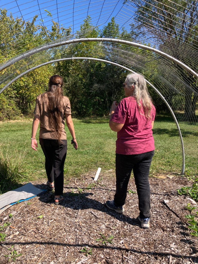 Two women walking under an arch created with metal poles and mesh fencing.