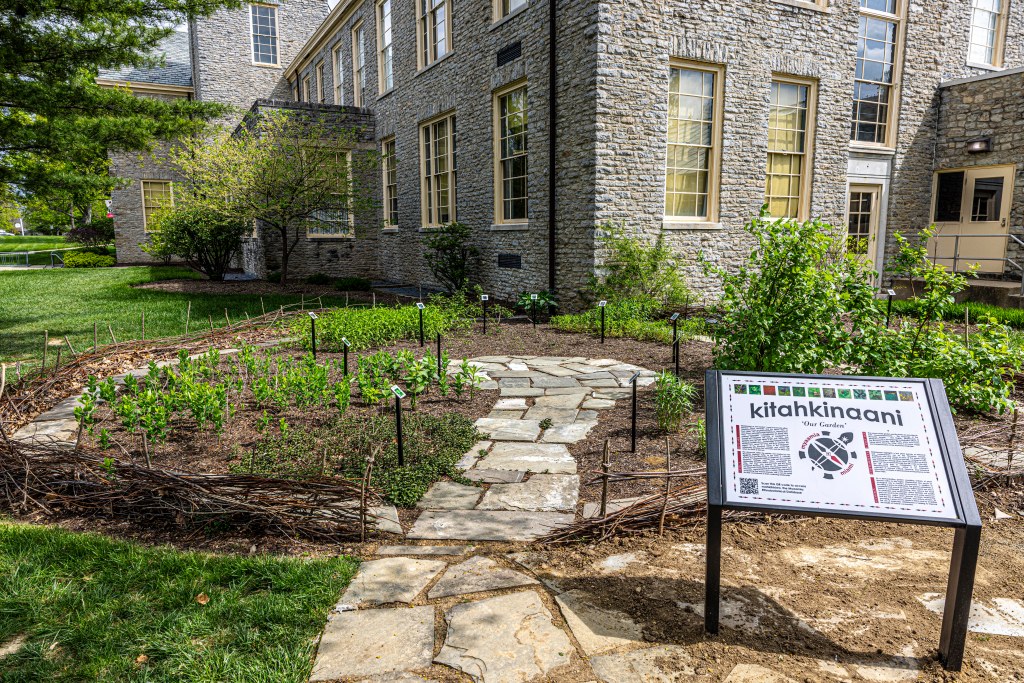 New growth in the community garden