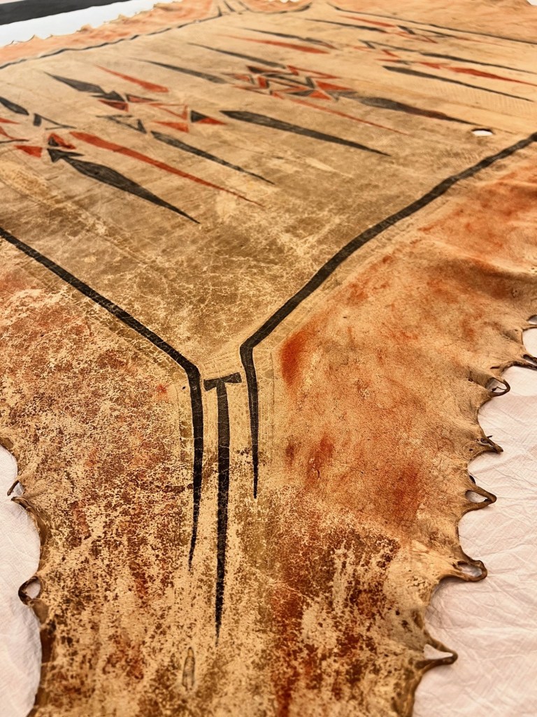 Black, yellow, and red patterns against the tan hide