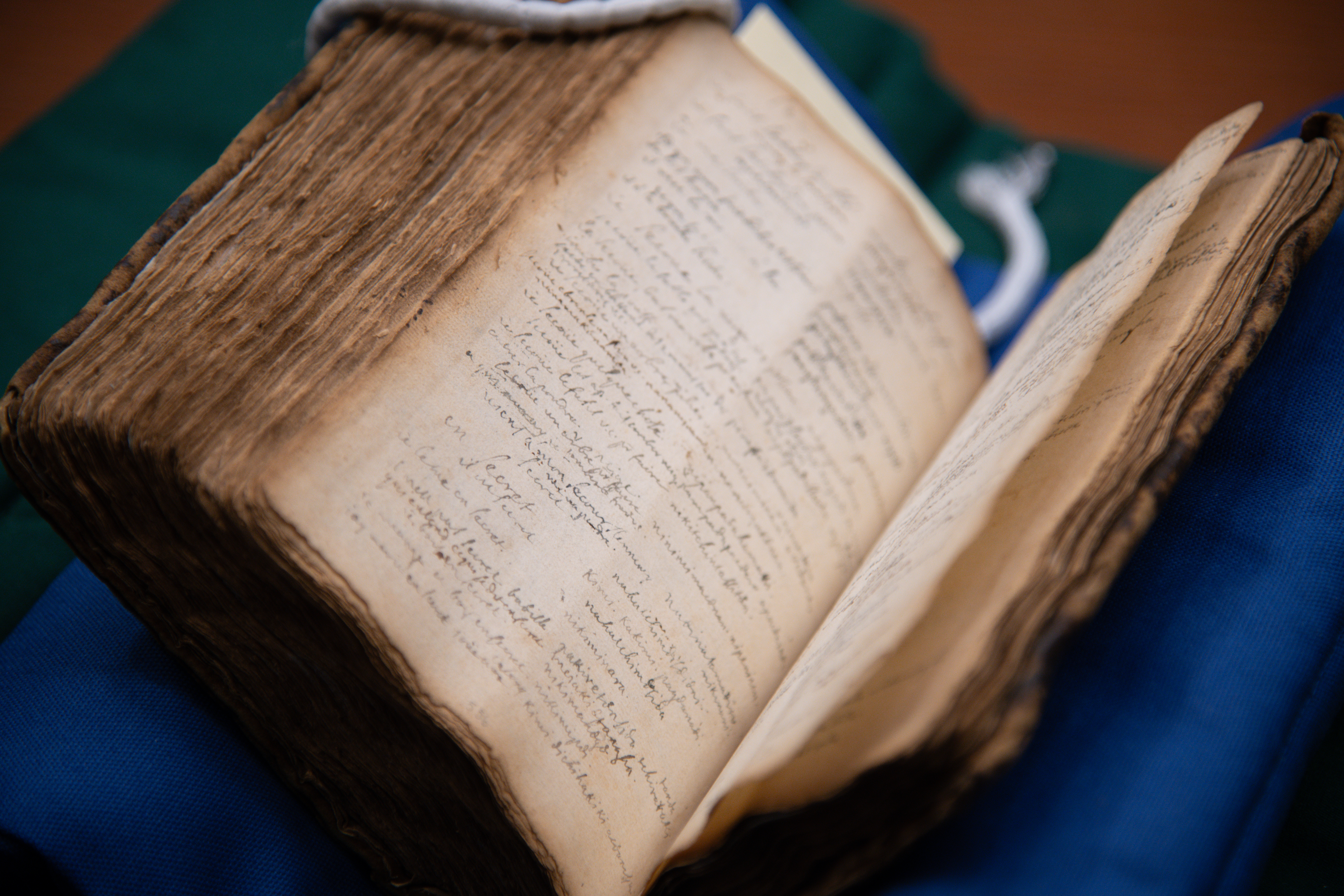 Pinet Dictionary open