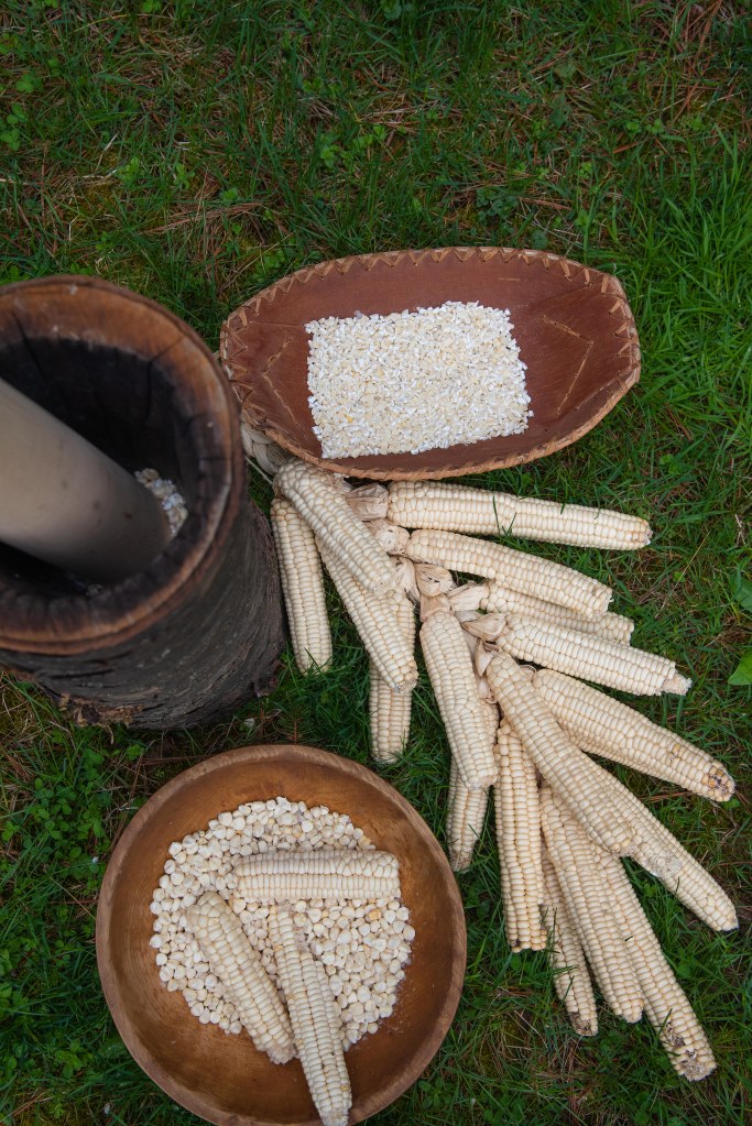 Miami white corn on display