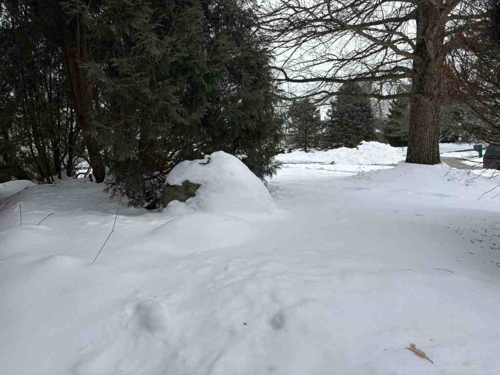 13 waawiita kiilhswa&nbsp;(2026)