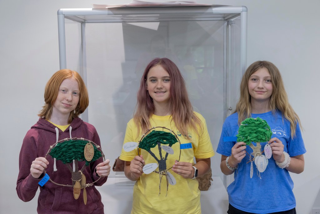 Woven tree projects