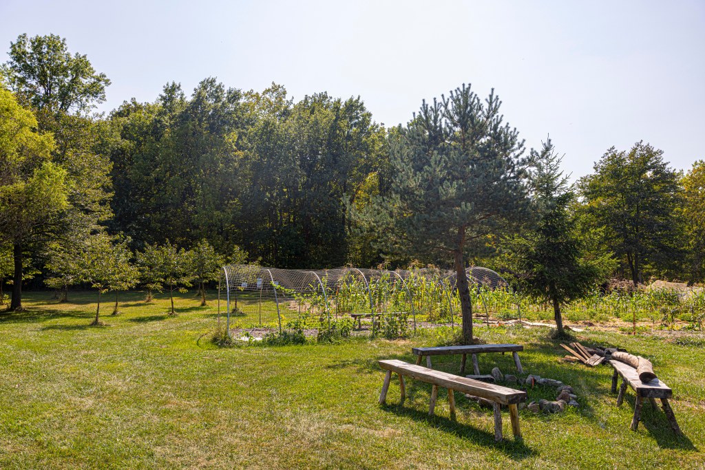 Community garden in Fort Wayne, Indiana